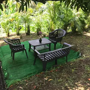  Appartement Coconut Guadeloupe